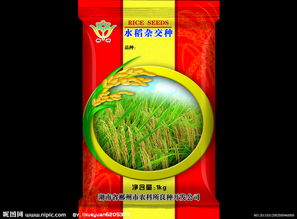 稻洋農家 用心打造優質水稻包裝